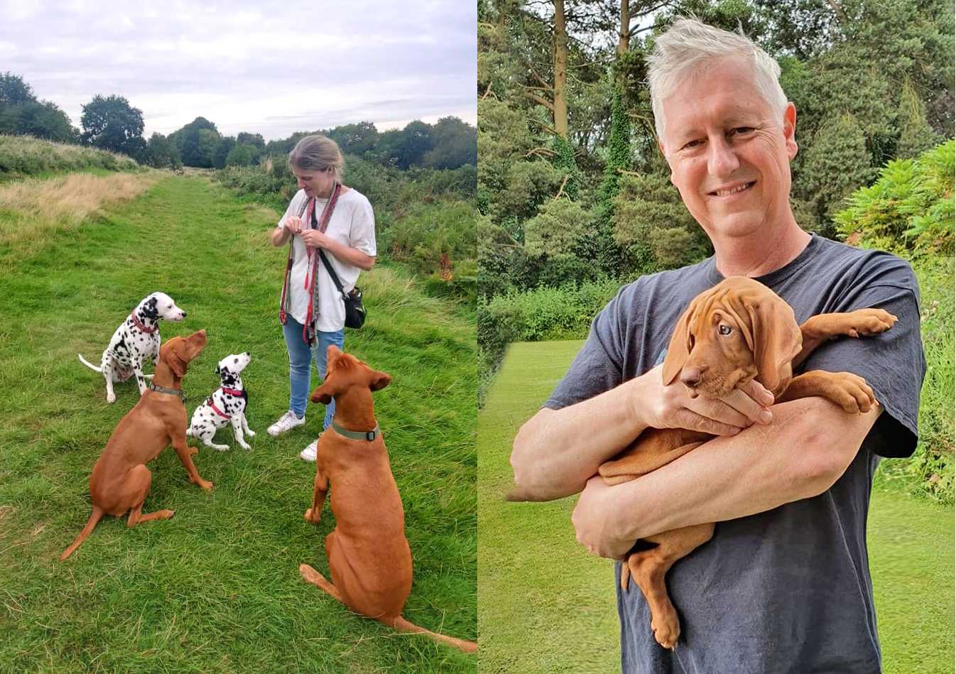 Dog walking service around Malvern Hills.